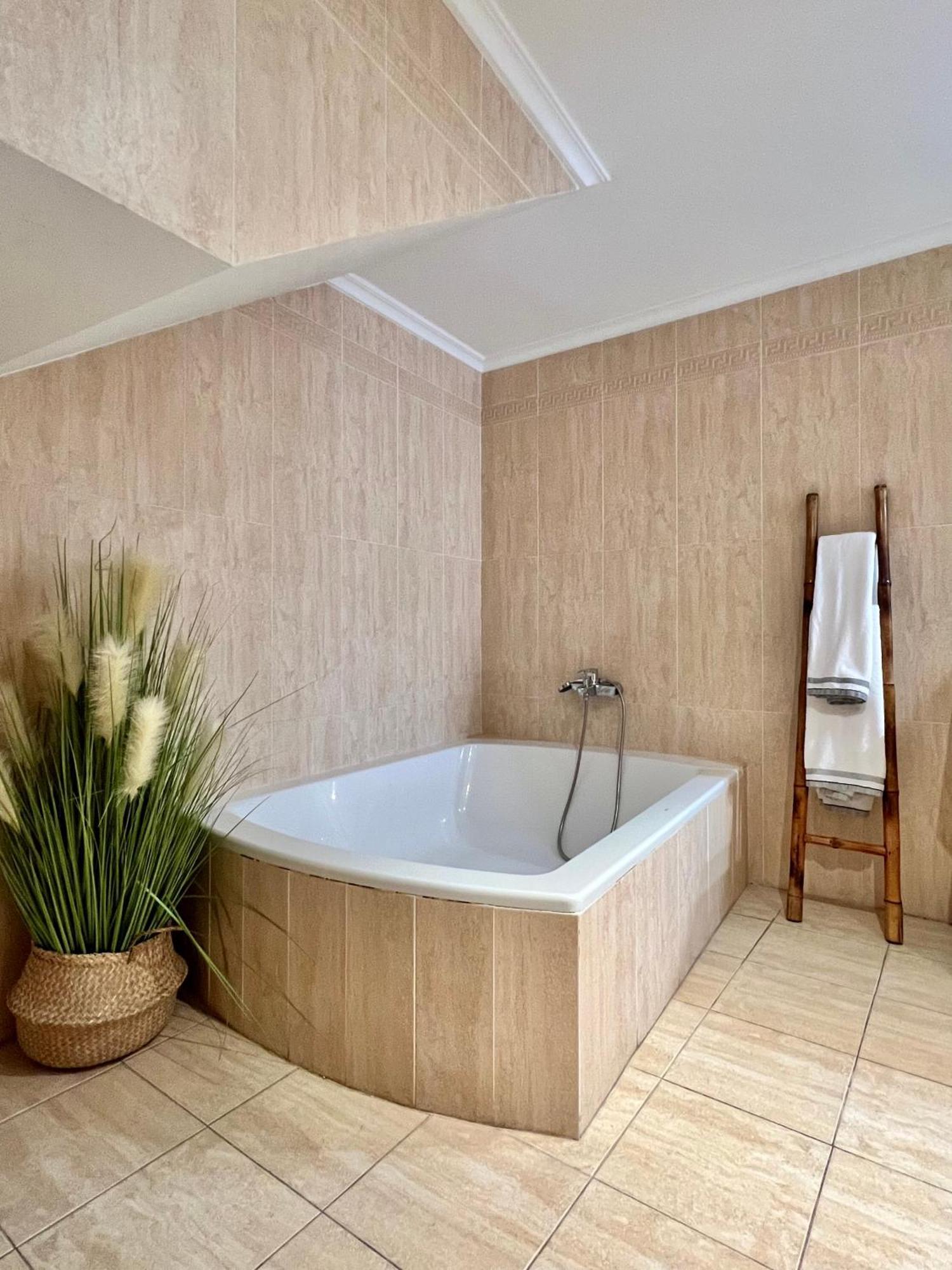 Apartamentos San Antonio Aranda de Duero Exteriér fotografie